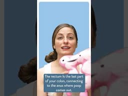 Poop or Just a Fart? How Your Butt Knows the Difference #pelvichealth #pelvicfloorhealth #fart