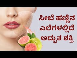 Guava leaf helth benefits