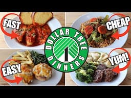 Dollar Tree Dinners | Delicious, Fast, Easy & CHEAP!!