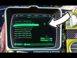 The Best Unlimited Junk Methods in Fallout 76 Working