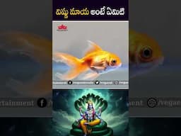 #shorts - విష్ణు మాయ అంటే ఏమిటి #lordvishnu #telugufacts #trendingfacts #latestfacts #ytshorts #fact
