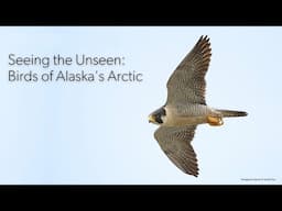 Seeing the Unseen: Birds of Alaska's Arctic Live Event