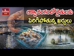 ఆక్వా రంగంలో రైతులకు పెరిగిపోతున్న ఖర్చులు | HMTV Agri