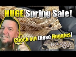 Spring SALE! Best deals & care at Hoggin Out!