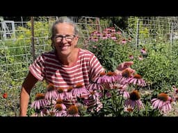 Welcome to Early Summer in the Vegetable Garden