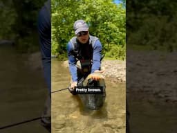 Micro-Thin Fly Fishing Leader