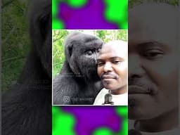 ஒரு அன்பு முத்தம்‼️💋🤣#AnimalDubs #61 #animals#comedy #voiceover #dubbing #petlover