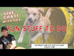 Fun Stuff to Do with Your Dog - LIVE Chat and Q&A