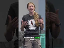 Respect of space between dogs and kids.