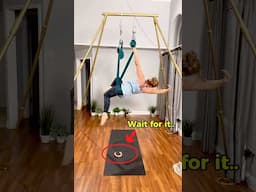 Aerial Yoga as a Dog Mum 👀🐶 #aerialyoga #aerialhammock