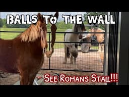 Romans Stall Is Done!