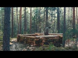 2 DAYS OF BUILDING A LOG CABIN SURROUNDED BY WILD ANIMALS AND THOUSANDS OF DANGEROUS INSECTS