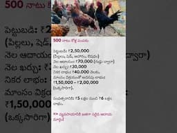 "నాటు కోళ్ల పంపకం తో లక్షల్లో ఆదాయం | Country Chicken Farming Business Idea | Telugu Success Story"