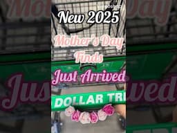🌸JUST ARRIVED NEW 2025 MOTHER’S DAY GIFT IDEAS🌸04/29 #dollartree #mothersdaygift #shop #shorts