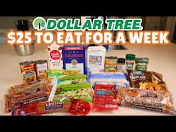 Eating for a Week on $25 from Dollar Tree | Episode 1: Grocery Haul, Meal Prep, & Day 1 Meals!