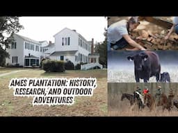 Ames Plantation: History, Research, and Outdoor Adventures - TN WildCast 426