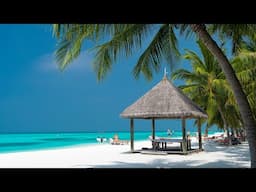 Bossa Nova Chill Out 🏝️ Beach Days