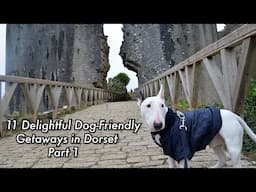 11 Delightful Dog-Friendly Dorset Getaways! Part 1!