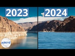 Lake Mead's Rising Water Levels, Explained