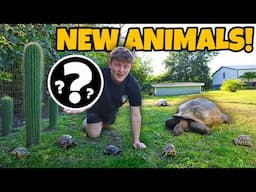 I CANT BELIEVE WE GOT THESE ANIMALS!!
