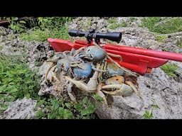 "Sniping Crabs With My Air Rifle" This Was Unexpected!
