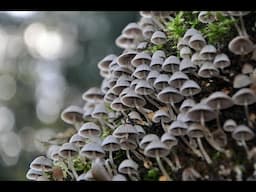 10 Interesting Scientific Discoveries for April of 2025