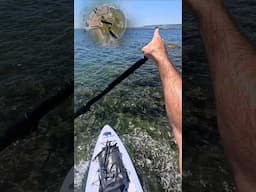 Exploring 500 Year Old Fortress | Paddleboarding 2.8 miles to Military Island #urbex #adventure #sup