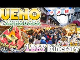 Things to do in Ueno & Akihabara Tokyo / 1-Day Travel Itinerary / Japan