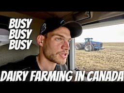A Day On The Dairy Full Of Problem Solving!