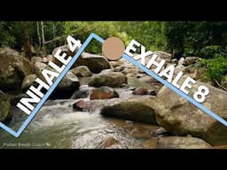 Pranayama for Relaxation | Inhale 4s, Exhale 8s (Vishama Vritti)