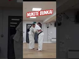 Nukite Bunkai #karate #bunkai #nukite