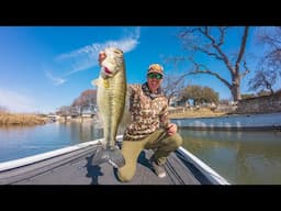 Fishing Clear Creeks & Canals for Pre Spawn Bass