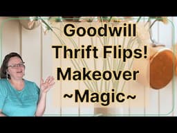 How To Make $$$ From A $3 Goodwill Find?