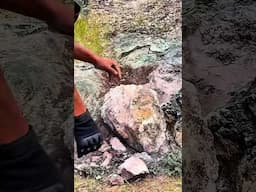 Treasure search #metaldetecting #treasure