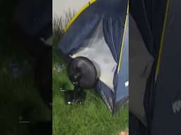 Felipe Canopf #camping