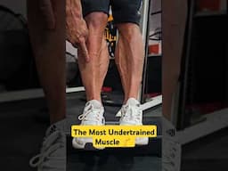 The Most Undertrained Muscle : Tibialis Anterior