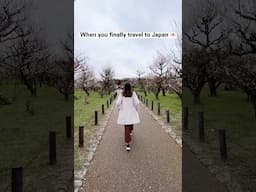 JAPAN TREND MUST VISIT 🇯🇵🌸
