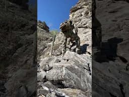 STEEP ⛰️