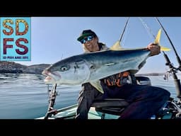 BAJA MAGIC Yellowtail & Grouper | SOLO SKIFF Fishing Baja California Mexico Sea of Cortez Spring 25