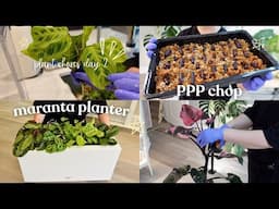 Plant Chores Day 2 | Pink Princess Chop, Making a Maranta Planter, & Rearranging 🌿
