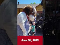 #triviatuesday #shorts at the Colorado Railroad Museum - Spike The Railroad Dog!