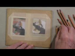Draw a Cat’s Eye Like a Pro (Even if You’re a Beginner!) 🐱 Pastel Pencil Realism