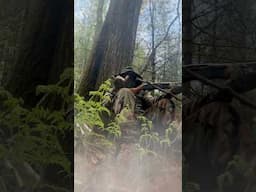 @TheHuntingPublic  Delta Diaphragm call