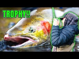 We Hooked Some MONSTERS! Late Winter Steelhead Fishing In The Jet Boat.