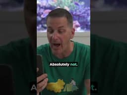 When Mark Says No Pufferfish in Your Reef Tank, You Call Hilary!