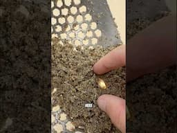This Beach had GOLD Waiting Beneath the Surface!