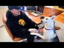 When Your Dog Is The Funniest One In The House! 😄 Funny Dog and Owner Videos 2025