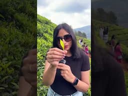 Ooty Tamilnadu #ootytour #ootytravel #ootytrip