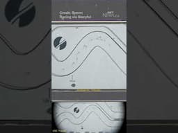 First sperm races held on 'World’s smallest racetrack'