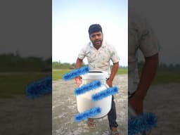 Namak se Bacteria ka pryog